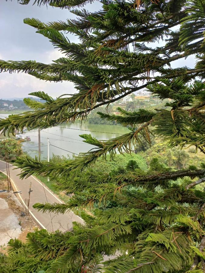 Lake Breeze 努沃勒埃利耶 外观 照片